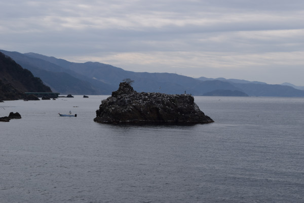 かもめ島の写真
