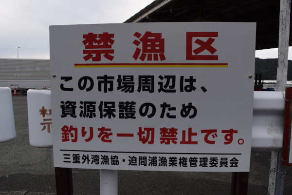 迫間浦漁港釣り禁止の看板