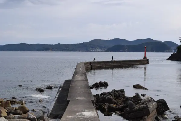 相賀浦漁港の釣りポイント