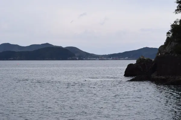 相賀浦漁港の沖の写真