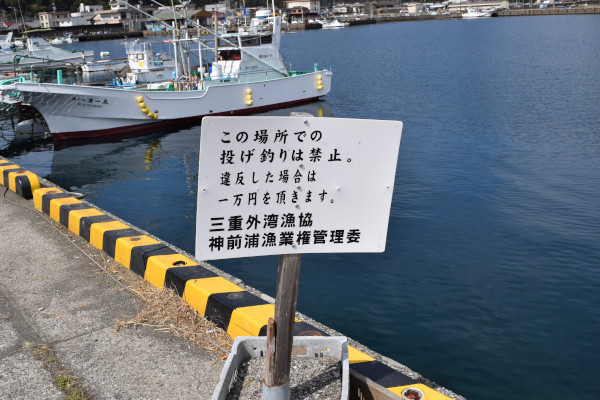 神前漁港の船着き場の写真