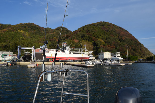 マリンポート美浜出航