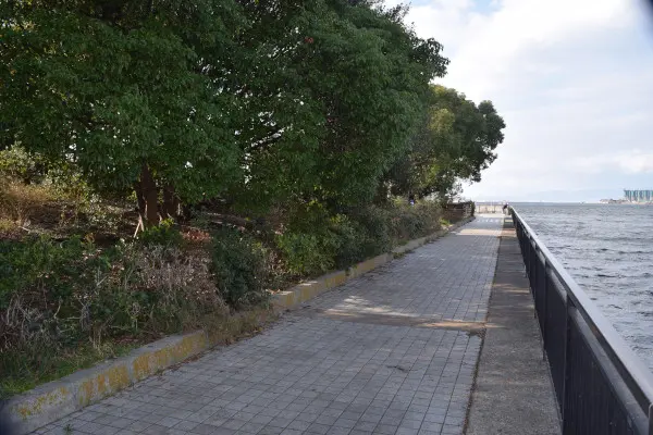 泉大津なぎさ公園マリーナ側