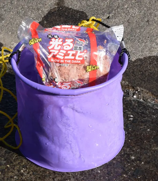 撒き餌を溶かしている